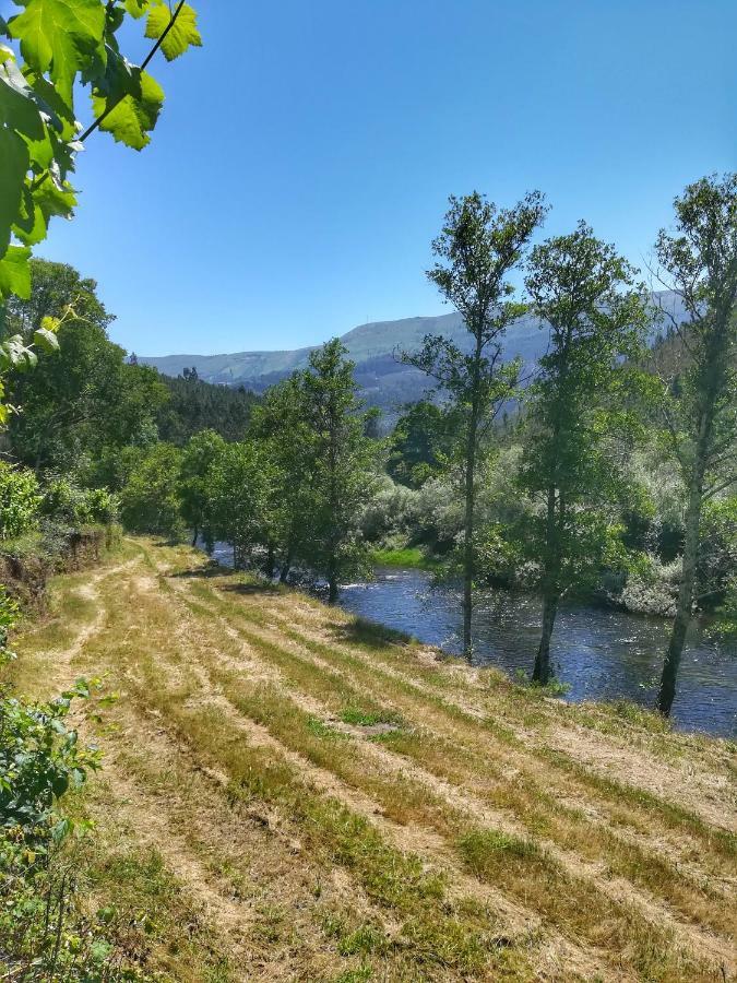 Quinta Da Recochina Pensionat Castro Daire Eksteriør billede